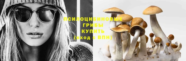 соль ск Балабаново