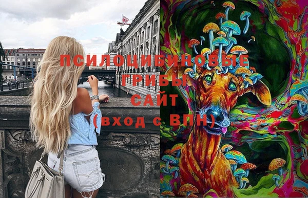 соль ск Балабаново