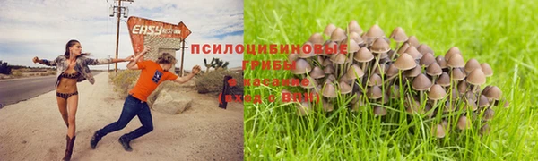 дмт Балахна