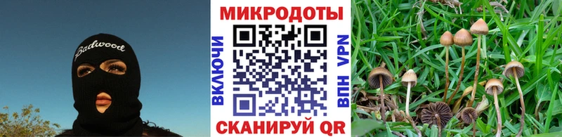 Галлюциногенные грибы MAGIC MUSHROOMS  hydra как зайти  Борисоглебск 
